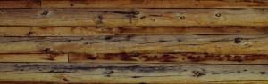 Wood background