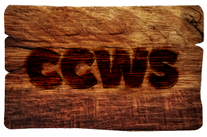 CCWS Interiors London
