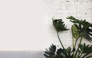 Office design services by CCWS Interiors London