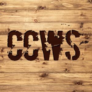 CCWS - Office Refit London